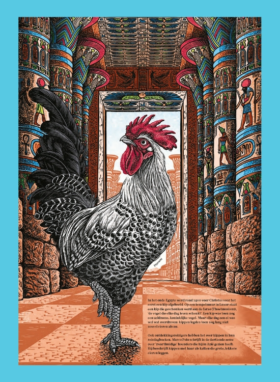 Het grote kippenboek