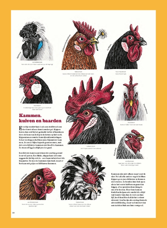 Het grote kippenboek