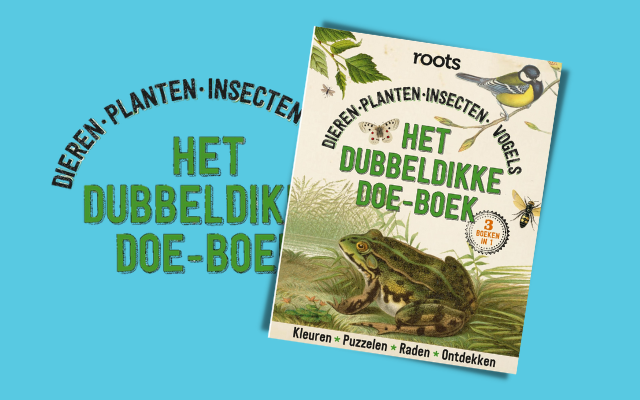 Het dubbeldikke doe-boek