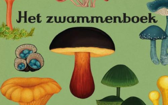 Het zwammenboek