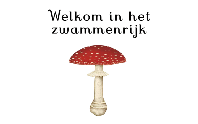 Het zwammenboek