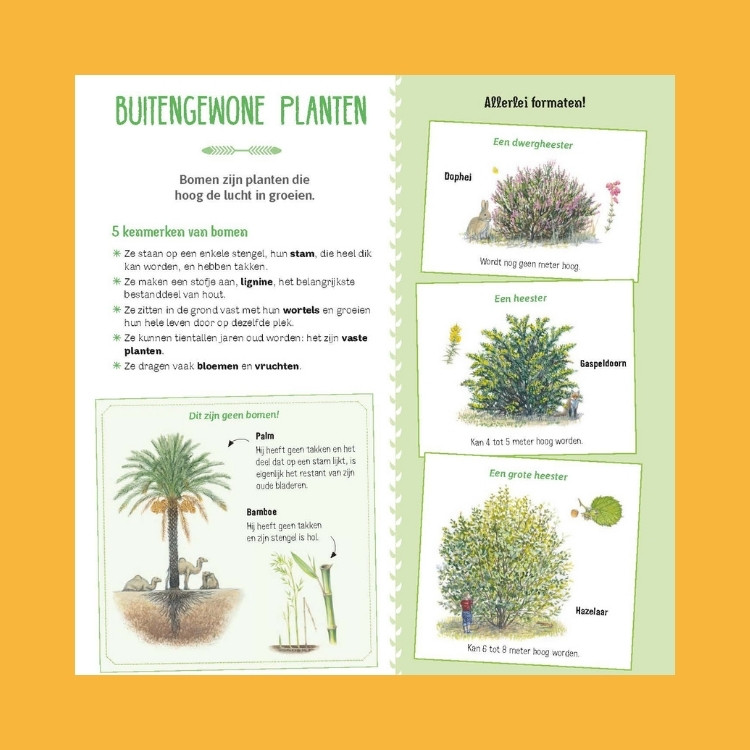 Leesfragment Het complete bomenboek 1