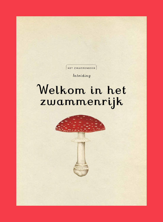 Leesfragment Het zwammenboek