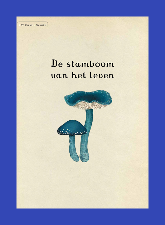 Leesfragment Het zwammenboek