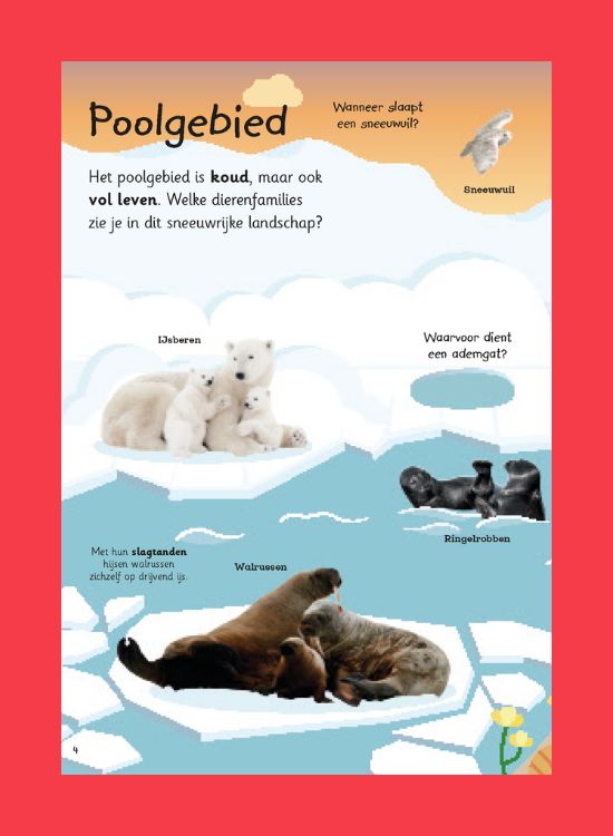 Leesfragment Mijn grote flapjesboek van alle dieren