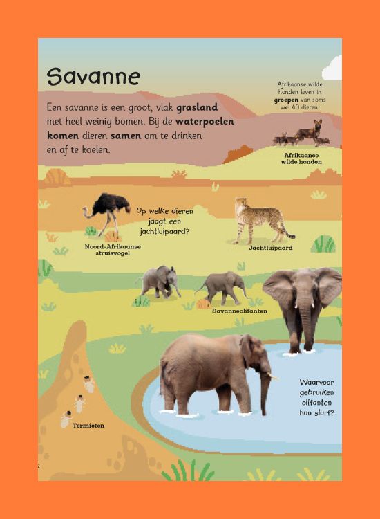 Leesfragment Mijn grote flapjesboek van alle dieren