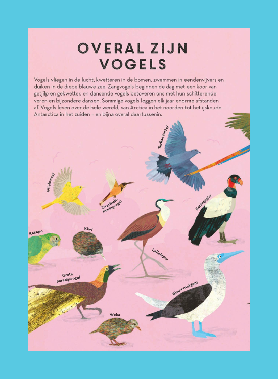 Overal zijn vogels - leesfragment