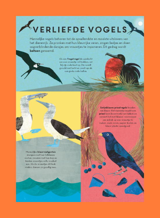 Overal zijn vogels - leesfragment