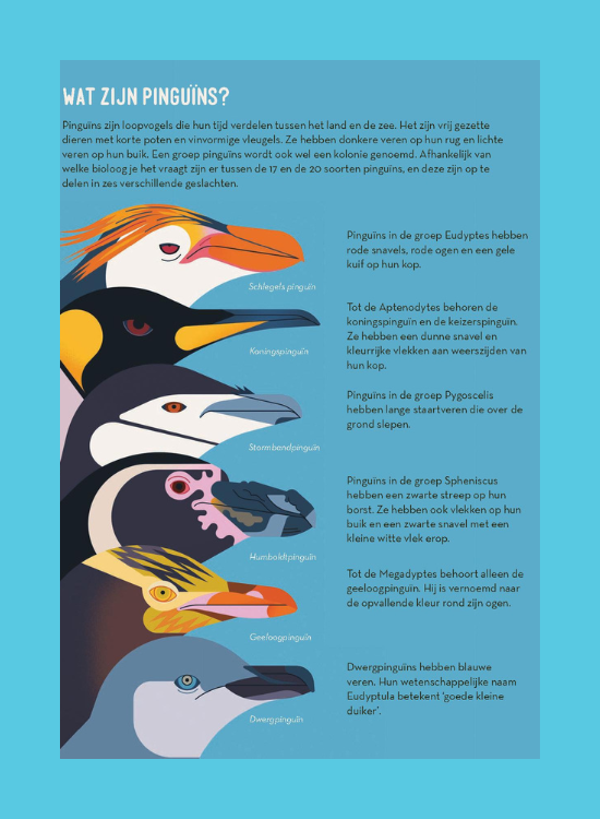 Pientere pinguïns - leesfragment