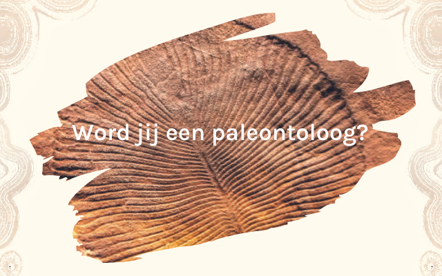 Nieuwsafbeelding Het dikke boek van alle bijzondere dino's 