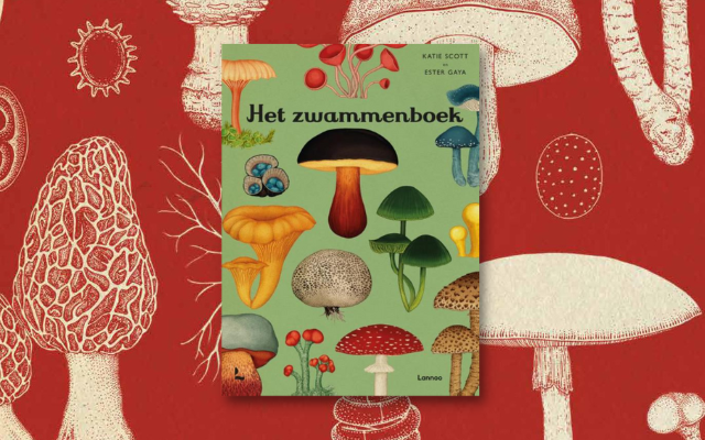 Het zwammenboek