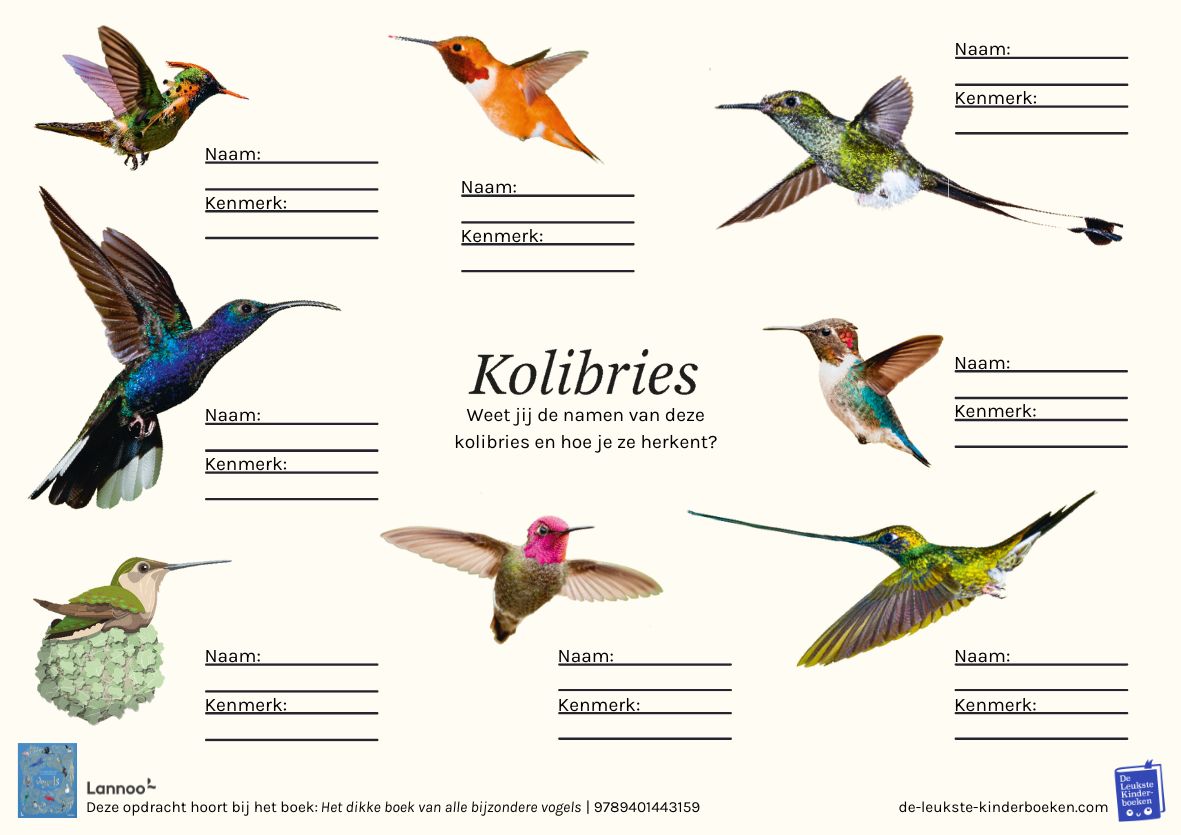 Opdracht Kolibries bij Het dikke boek van alle bijzondere vogels