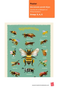 Poster Wervelende wereld - Bijen - Bijensoorten