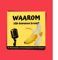 Waarom zijn bananen krom?